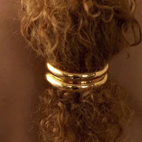 Élastique chic